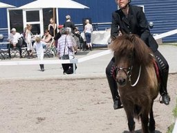 img-99531-608